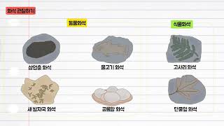 과학 4학년 1학기 2단원 6차시 영상(34-35p)