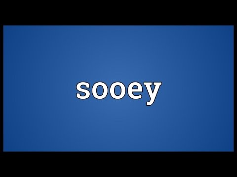 Sooey Meaning