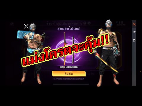 ชื่อ ฟีฟาย