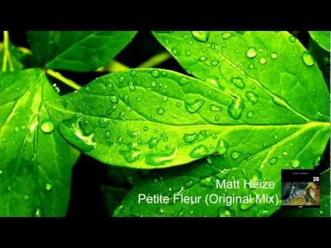 Matt Heize - Petite Fleur (Original Mix)