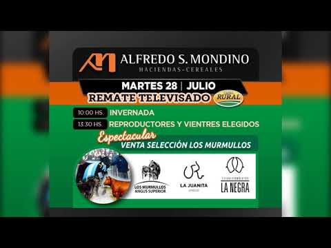 Próximos remates de Alfredo S. Mondino