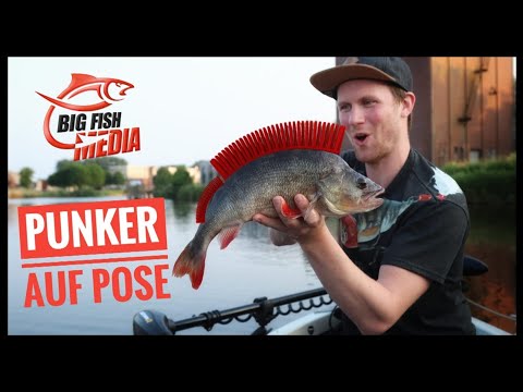 Posen-Punker: Auf dicke Barsche angeln mit der Posenmontage