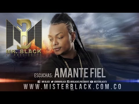 Amante Fiel - Mr Black ®