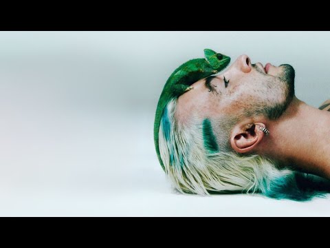 CHAMELEO - Enigma ft. Carol Biazin [Instrumental]