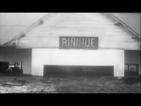 LA RESPUESTA. LA EPOPEYA DEL RIÑIHUE.
