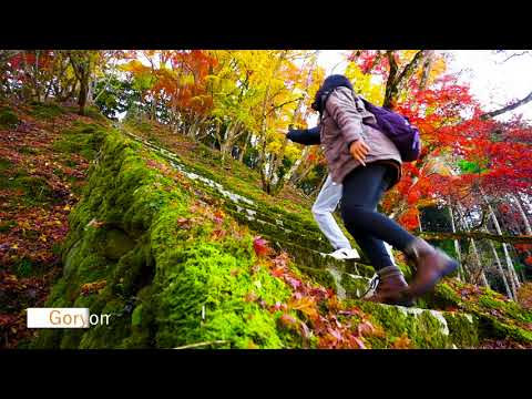 Japan Kyushu Tourist Movie Nature