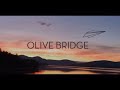 Shaky Gun Productions Olive Bridge Universal Television 2025