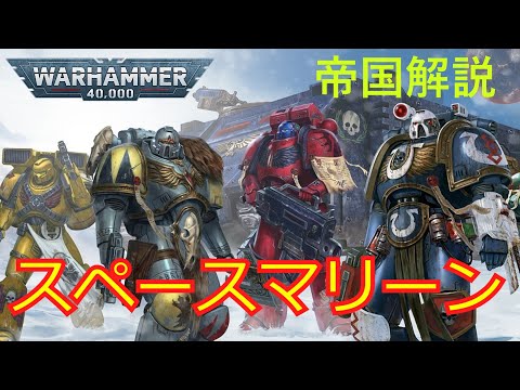 スペースマリーン兵器 (ウォーハンマー 40,000) - 定義
