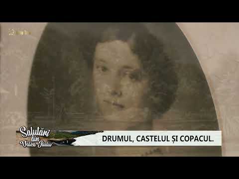 Salutări din Valea Jiului - Aninoasa. Drumul, castelul si copacul.