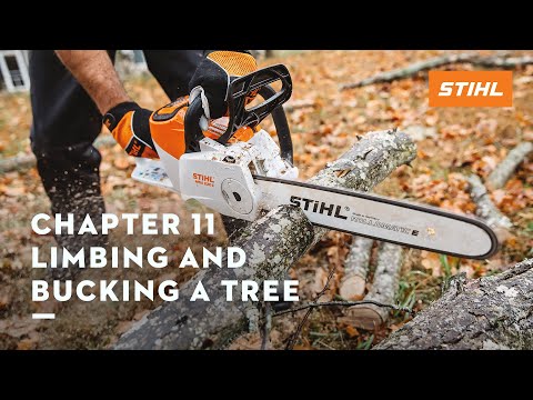 Chapter 11: Limbing and Bucking a Tree | STIHL Tutorial
