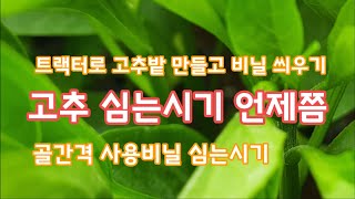 고추심는시기 트랙터로 두둑만들고 비닐 씌우기 [고추 재배방법]