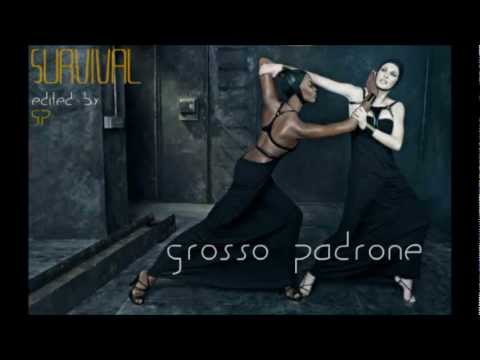 Serrano Y.  -  Real Survival ( 2012 House Mix )