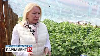 Экосовет проинспектировал работу сезонных теплиц