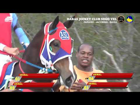[Cortes🎬] 5º Pareo Classificatório -  VII GP Jockey Haras Nego Vel 2021