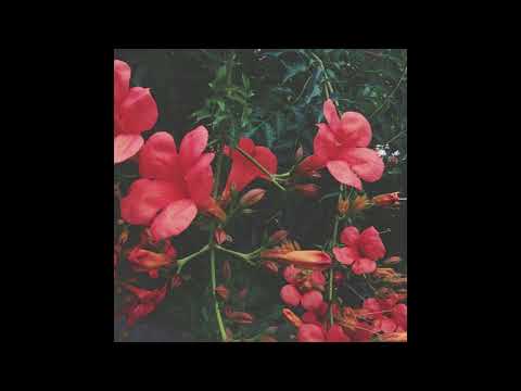 fudasca & mishaal- disguise- feat. josh malilay