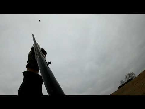 Pheasant Shoot #1 {Part 1}