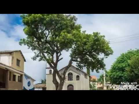 Los Hualaychos de Sopachuy