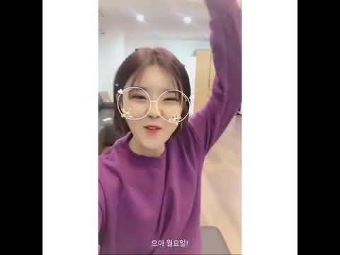 아이콘