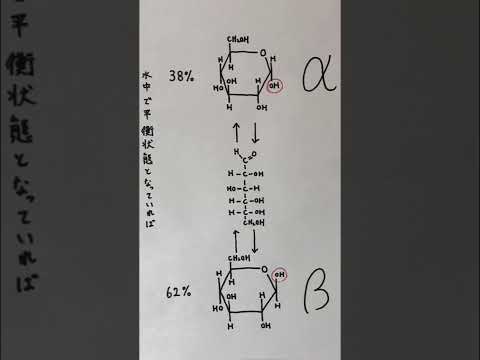 薬学科 ［高校生以上向け］α-グルコースとβ-グルコース