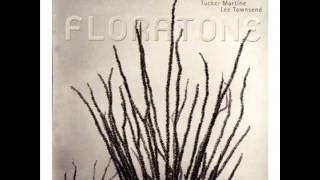 Bill Frisell - Monsoon ( with Matt Chamberlain, Tucker Martine and Lee Townsend )