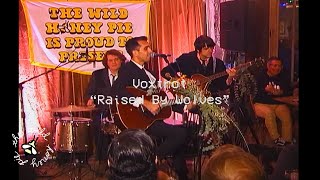 Music video thumbnail preview for Voxtrot - Raised By Wolves | The Wild Honey Pie Dinner Party by Voxtrot
