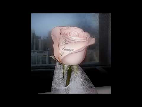 Lovesomemama - YA SAMAYA P