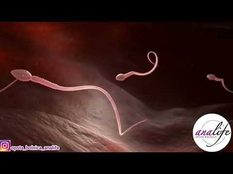 Kako izgleda stvaranje života