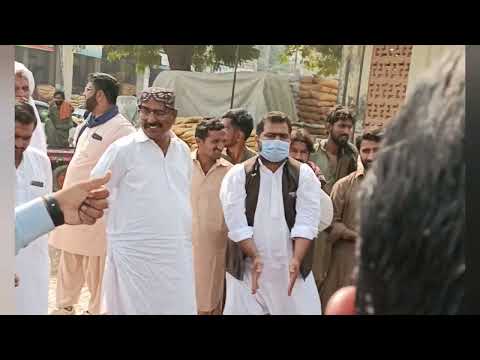 21/02/23Today Mustard New Price in Punjab|Sarso ka rate|Mustard price 2023|سرسوں کا نیا ریٹ