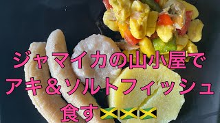 ジャマイカ🇯🇲便り＃５４　ブルーマウンテン山小屋