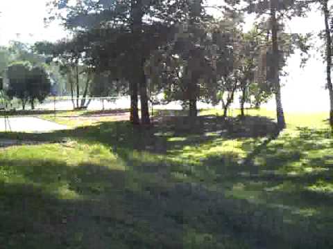 OW. Skowronek nad jeziorem Sajno - Augustów 2011