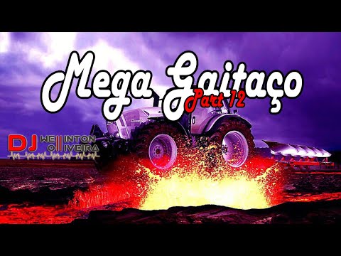 MEGA GAITAÇO 2023 PART 12 - DJ Wellinton Olliveira