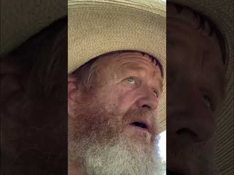 Lost Dog Search: 3 Hours Deep in Thorns