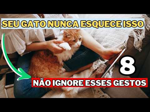 8 Coisas Que Seu Gato Espera de Você Todos os Dias ( PUCOS SABEM)