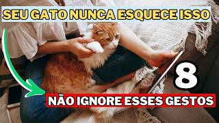 8 Coisas Que Seu Gato Espera de Você Todos os Dias ( PUCOS SABEM)