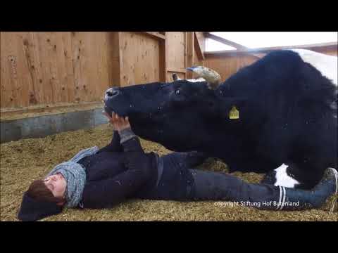 Emily, komm bald wieder