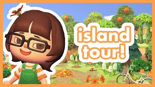 tour my orange island with me!! || 🍊 Calamondin Island 🍊 ||
