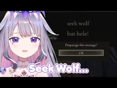 Biboo Had Enough Of Elden Ring Messages