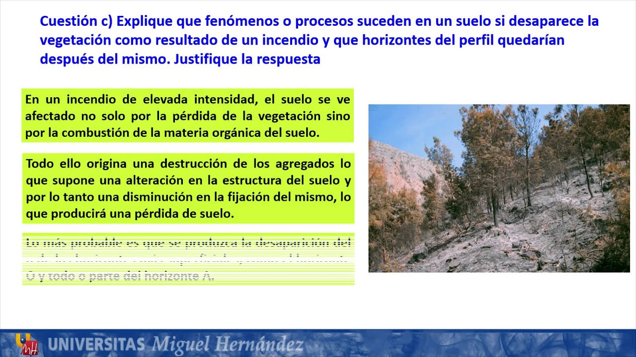 Ciencias de la Tierra y Medioambientales: Junio 2013 - Opción A y B