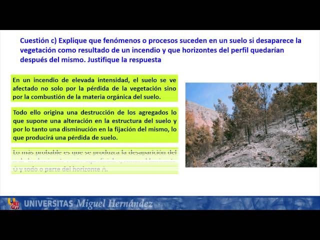 Vídeo relacionado con Ciencias de la Tierra y del Medio Ambiente. Pruebas de Acceso a la Universidad. (Selectividad/PAU 2012)
