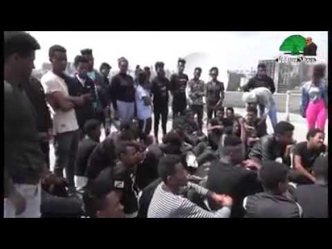 Rakkoo barattoota oromoo irraa gahaa jiru