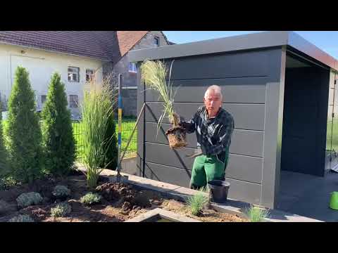 Gartentipp im Herbst, Gräser