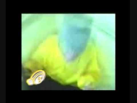 born slippy vs played a live