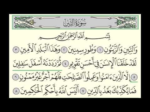 Surah At-Tin (95) Yasser Al-Dosari