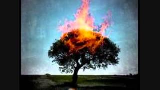 The Analogy Of The Burning Tree