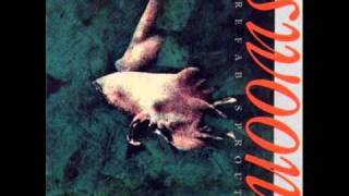 Prefab Sprout - Cruel
