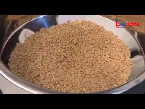 Fully Automatic Atta Chakki