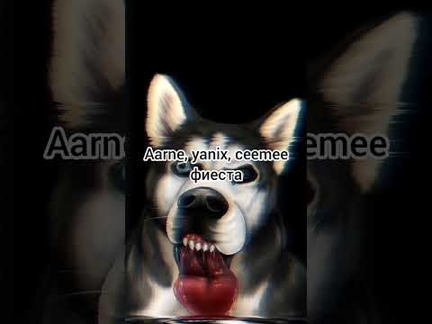 aarne, yanix, ceemee - фиеста #топ #music