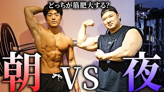 朝トレと夜トレどちらが筋肥大する？