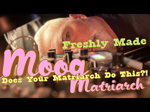 Moog Matriarch - Secret Patches that no one else knows...in the world!