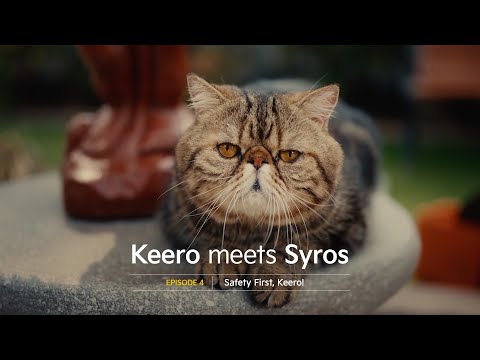 Kia India | Keero Meets Syros | EP04: Safety First, Keero!